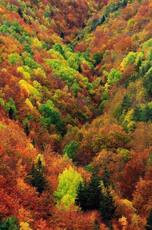 Casita Pelopin Villa Frajén Dış mekan fotoğraf